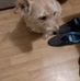 Tom Ledoux - Facebook