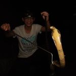 Tom Lee~ - @tomlee_smartphone_wildlife - Instagram