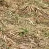 Tom Lenehan - @tomlenehan - TikTok
