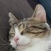 Tom Leppert - Facebook