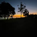 Tom lewison - @tomlewison1 - Instagram