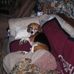 Tom Libby - Facebook