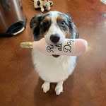 Tom Liggett - @tligg11 - Instagram