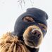 Tom Lim - Facebook