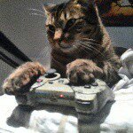 Thomas - @tom_lindner_ - Instagram