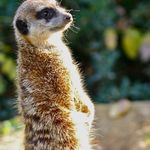 Tom Lindner - @lindner_tom - Instagram