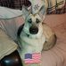 Tom Lindner - Facebook