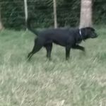 Tom Lindner - @lindner8353 - Instagram