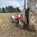 Thomas Linke - Facebook