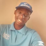 tom lion - @tom272837 - Instagram