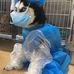 Tom Lok - Facebook