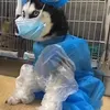 Tom Lok - @tomlok5 - TikTok