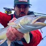Tom Lombardi - @tomlombardi2 - Instagram