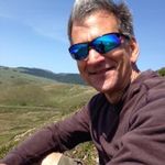 Tom Lombardo - @tomlombardonovelist - Instagram