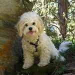 Tom Loomis - @thomas.a.loomis - Instagram