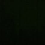 tomloomis - @tomlomis - Instagram
