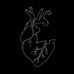 Tom Lopes - Facebook