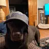 Tom Loughlin673 - @user699574123 - TikTok