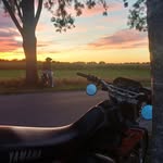 Tom louis Riethmüller - @tom_riethi - Instagram