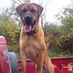 Tom Luce - @woodcuttertom - Instagram