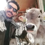 Tomislav Lukacevic - @tomlukacevic - Instagram