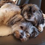 Tom Lutz - @tom.lutz.1257 - Instagram