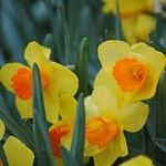 Tom Lutz - @toml196382 - Instagram