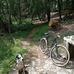 Tom lutz - @bearingranch - Instagram