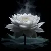 Ơ✅ - @tomluxury6789 - TikTok