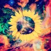 Tam Lykins - @crazyhippiechild - TikTok