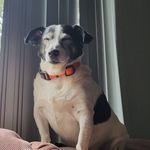 Tom Lynaugh - @tomlynaugh - Instagram