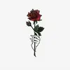 Tom Macmillan - @2180625459 - TikTok