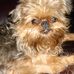 Thomas L. Magnuson - Facebook
