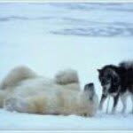 Tom Magnuson - @odologist - Instagram