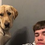 Tom Maher - @tommaher266 - Instagram