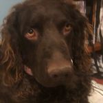 Thomas Mallon - @tommallon24 - Instagram