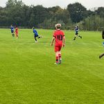 Tom mallon - @tommallon_10 - Instagram
