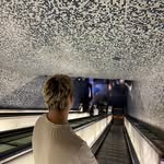 manne - @tommasomanneschi - Instagram