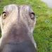 Tom Mannion - Facebook