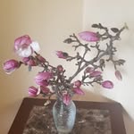 Tom Mannion - @wwwhotshotww - Instagram
