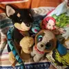 Tommy Mannion921 - @tommymannion3460 - TikTok