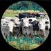 Tom-Mar Farms &amp; Udderly Happy Hooves - Facebook
