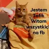 tommar - @tommar870 - TikTok