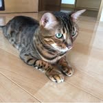 Tom marcus - @tom_marcus18 - Instagram