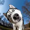 Tom, Marcus - @tom.marcus62 - TikTok
