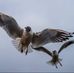 Marek Tom - Facebook