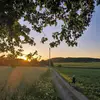 Tomikk🤘🚜 - @tommarek01 - TikTok
