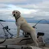 tommarek969 - @tommarek969 - TikTok
