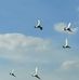 Tom Markert - Facebook