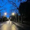 tom marland - @tom.marland - TikTok